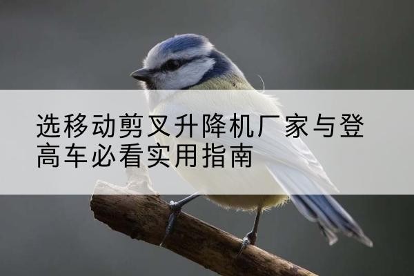 利通电动升降机厂家-选移动剪叉升降机厂家与登高车必看实用指南