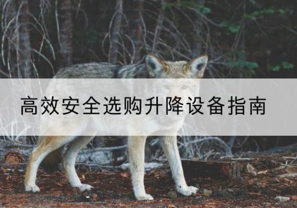 利通升降货梯厂家推荐-*安全选购升降设备指南