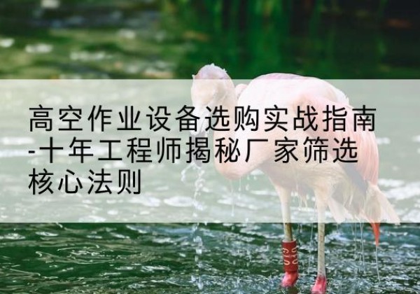 利通剪叉式升降机厂家-高空作业设备选购实战指南-十年工程师揭秘厂家筛选核心法则